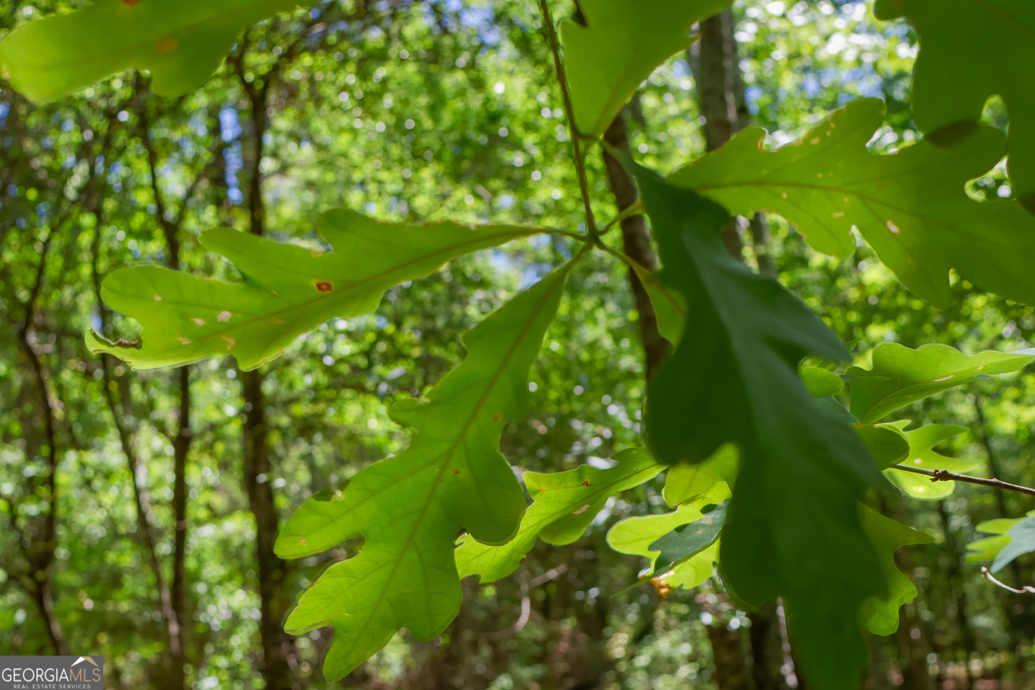 232 Crane Road Cochran, GA 31014 - Photo 4 of 20