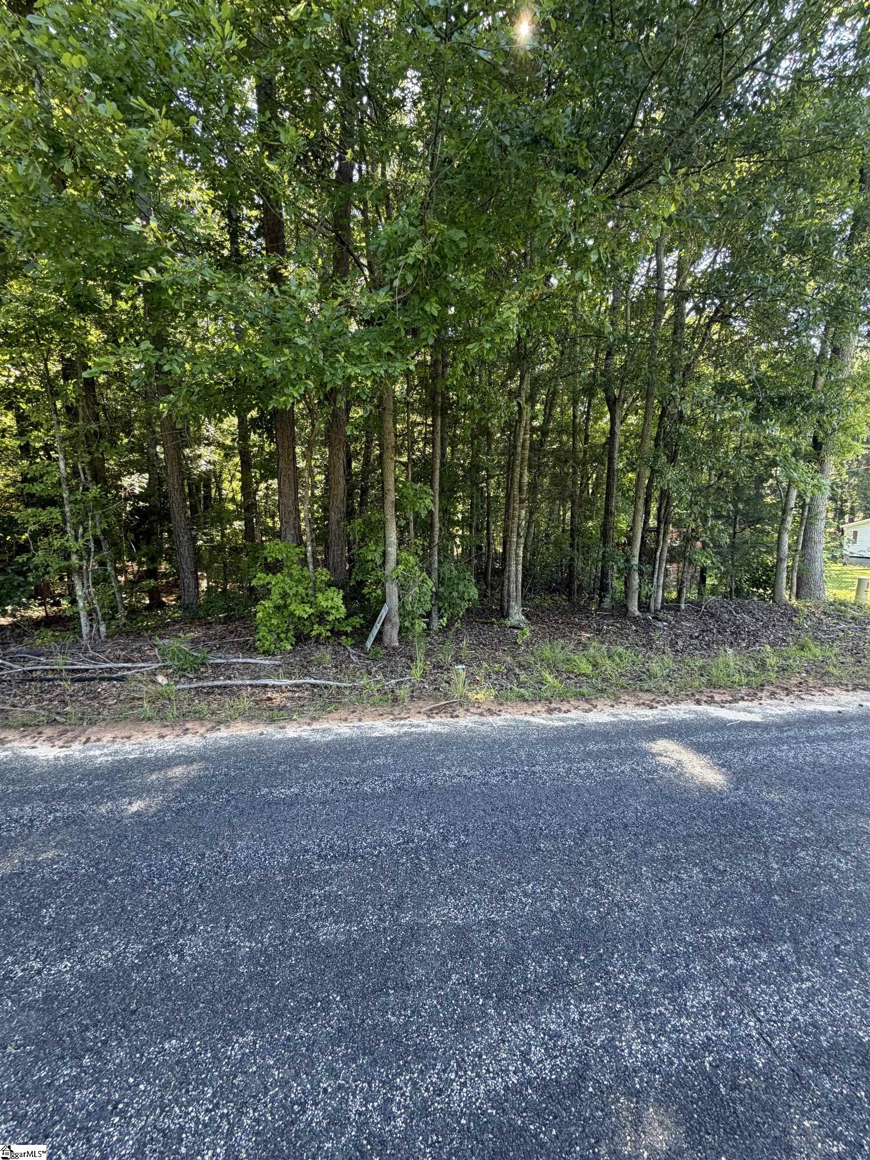 0 Buzhardt Road Ware Shoals, SC 29692 - Photo 4 of 5