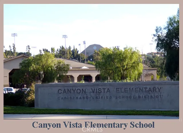 a outdoor space with lots of palm trees