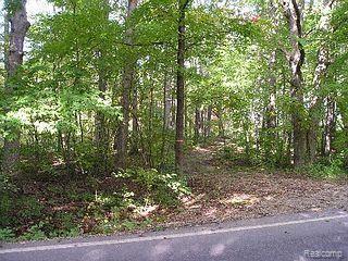 395 North Lake George Road Attica, MI 48412 - Photo 1 of 1 property