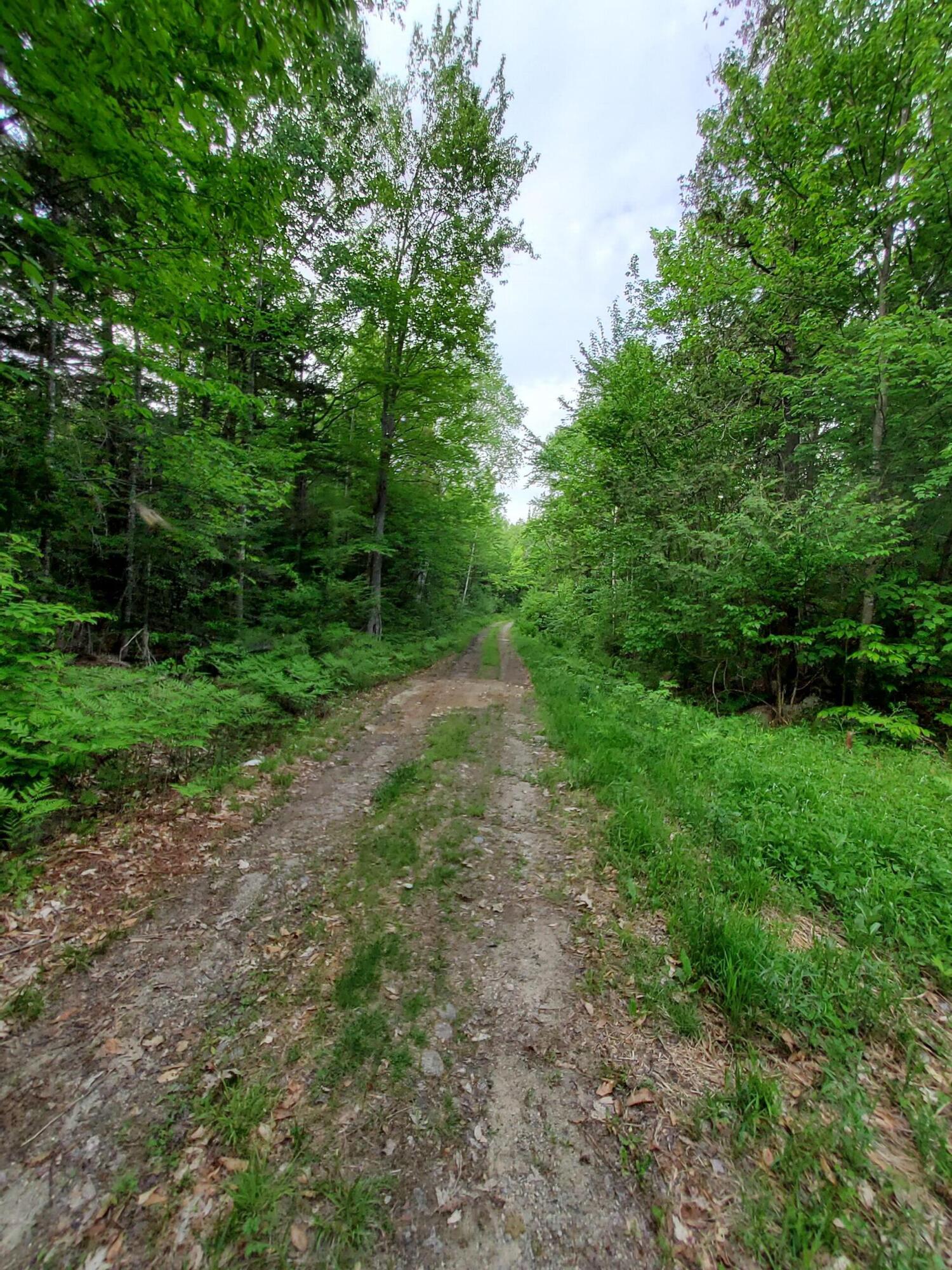 Lot 50 Map 14) Andover, ME 04216 - Photo 11 of 12 20260605_164711