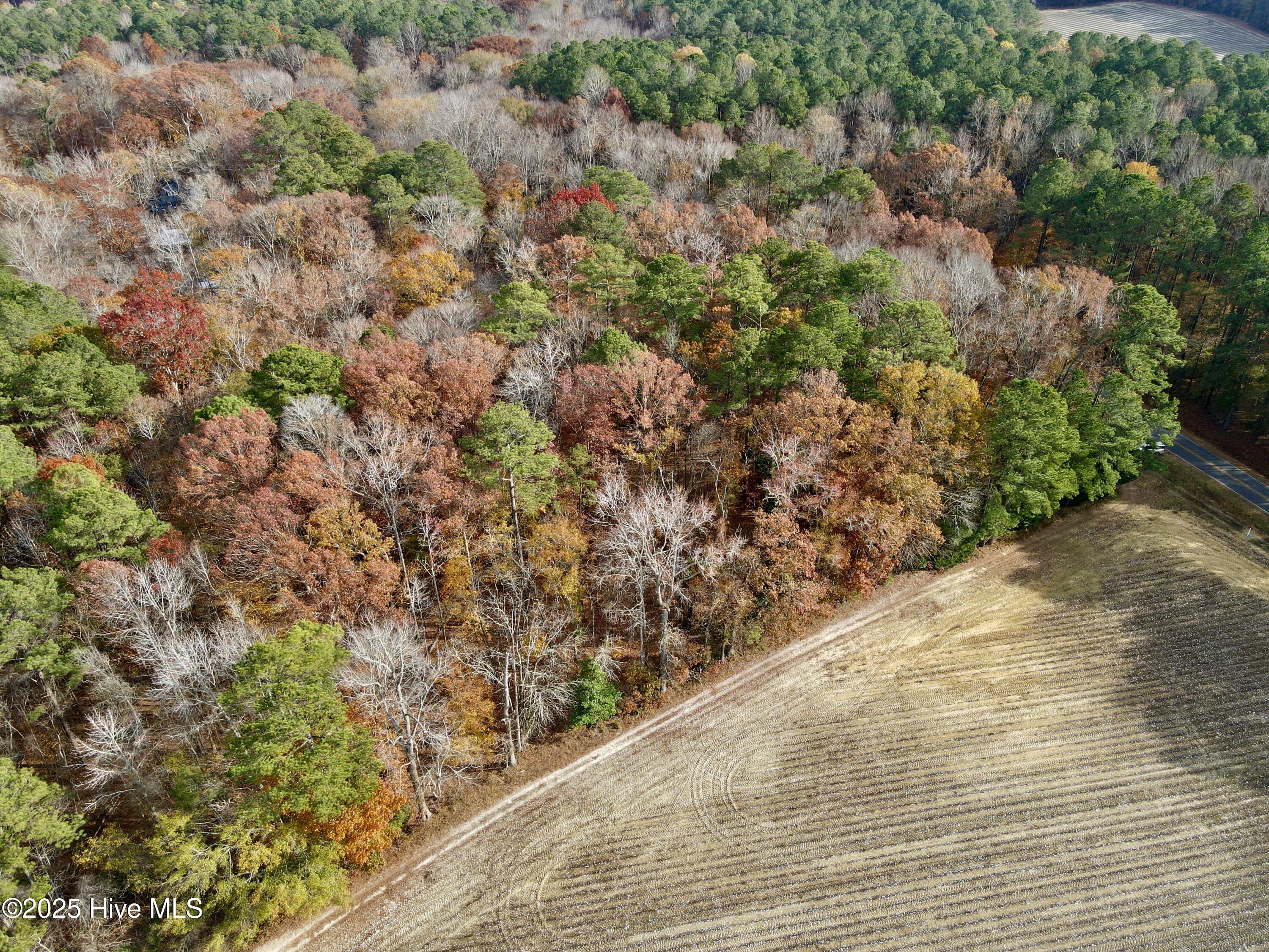 0 Williams Road Williamston, NC 27892 - Photo 7 of 16 Aerial Side View