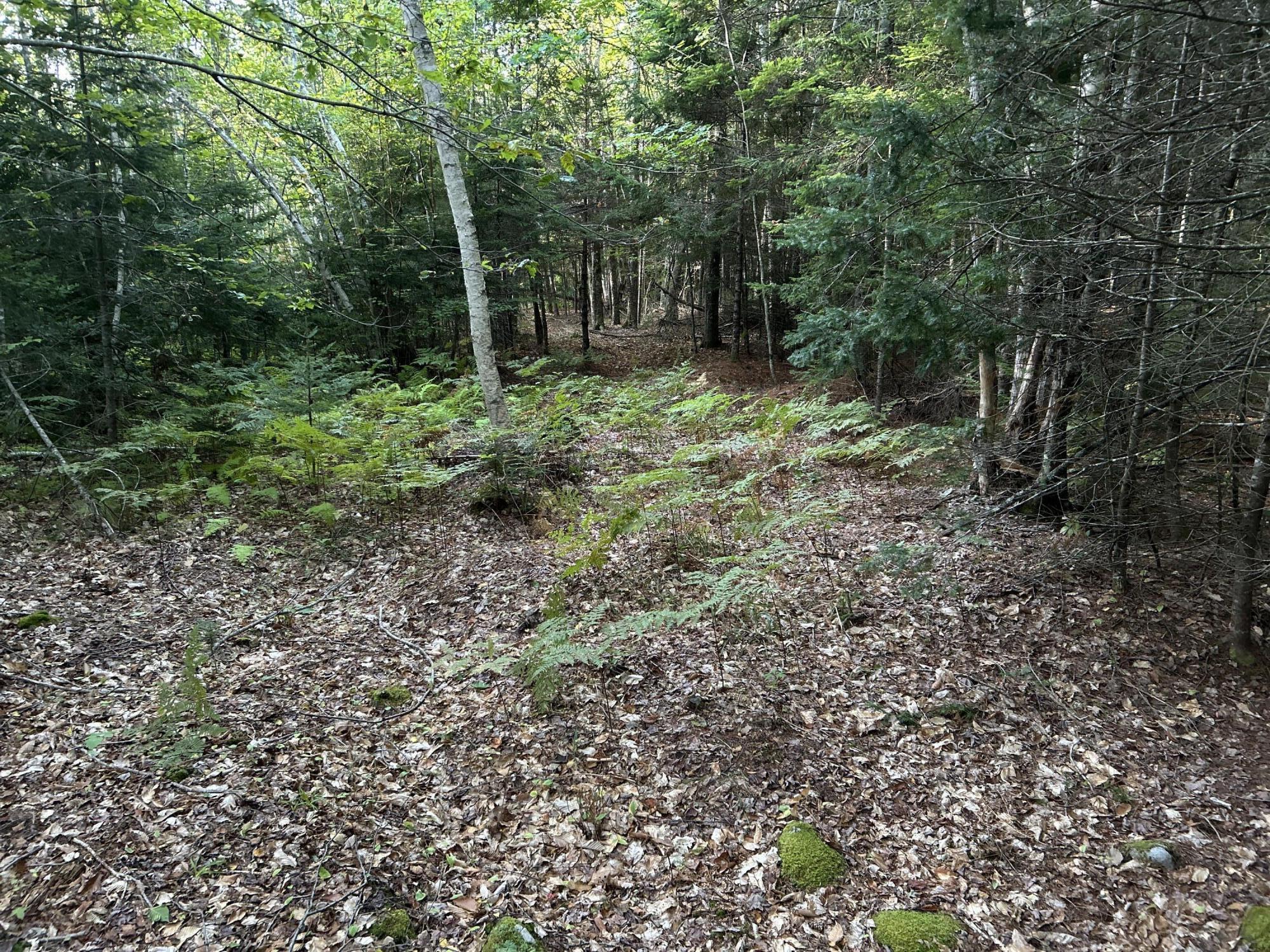 M4-l14 Village Road Jackson, ME 04921 - Photo 35 of 37