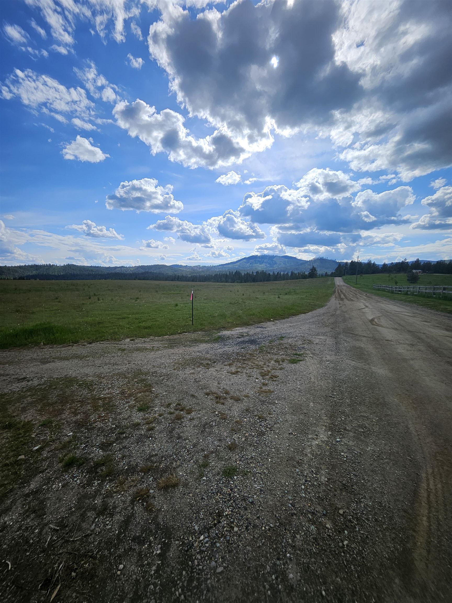 52-xx Wagner Road Springdale, WA 99173 - Photo 12 of 20