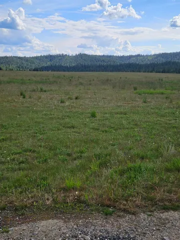 $197,500 | 52-xx Wagner Road, Springdale, WA 99173