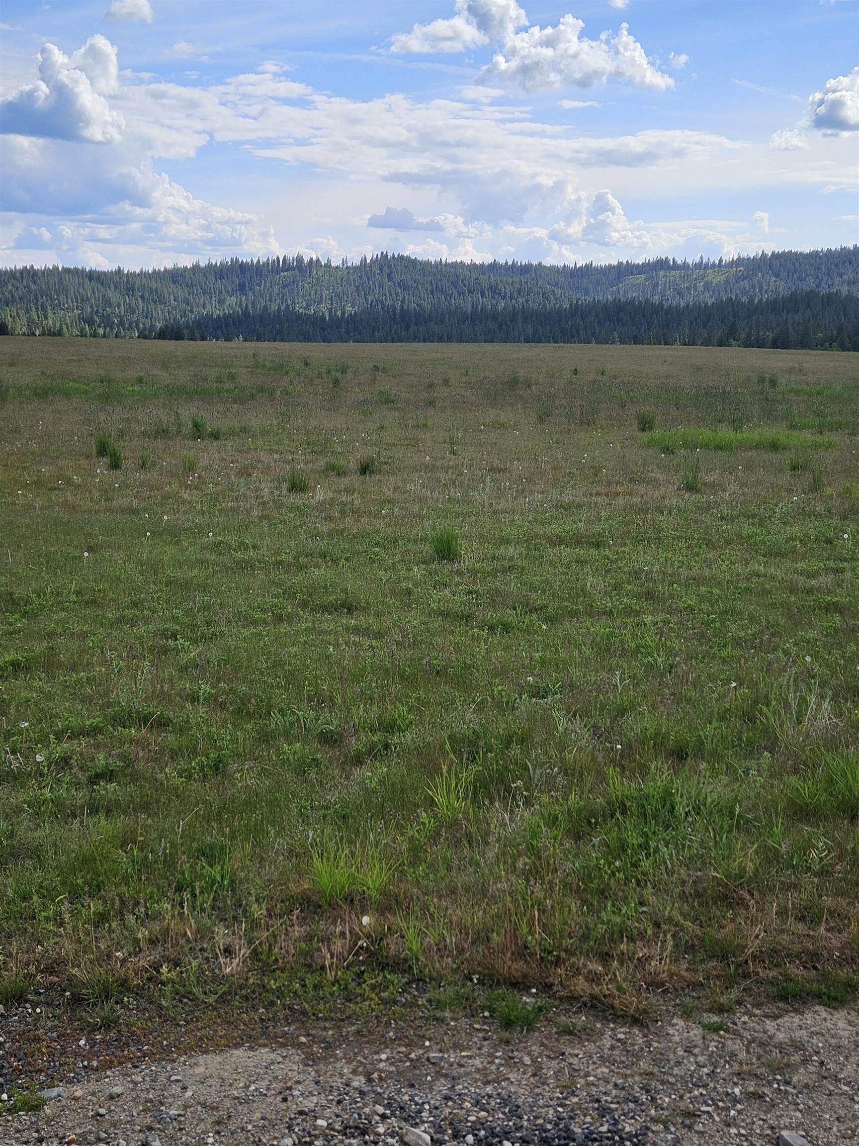 52-xx Wagner Road Springdale, WA 99173 - Photo 17 of 20