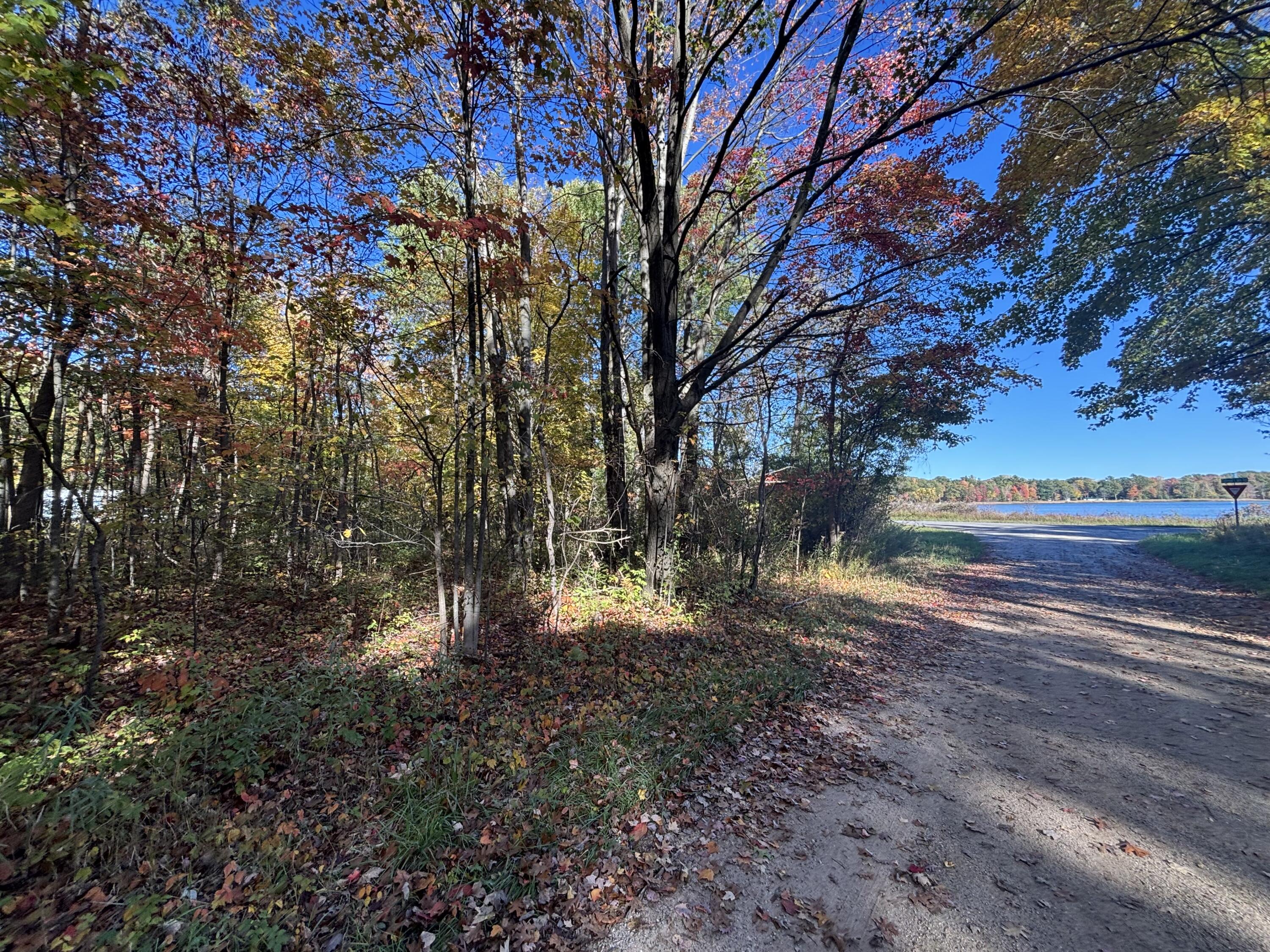 1.47 North Tallman Lake Road Fountain, MI 49410 - Photo 4 of 11 tallman-lake-lot-mason-county-4