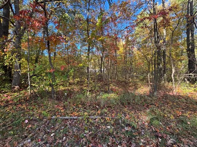 $39,900 | 1.47 North Tallman Lake Road, Fountain, MI 49410