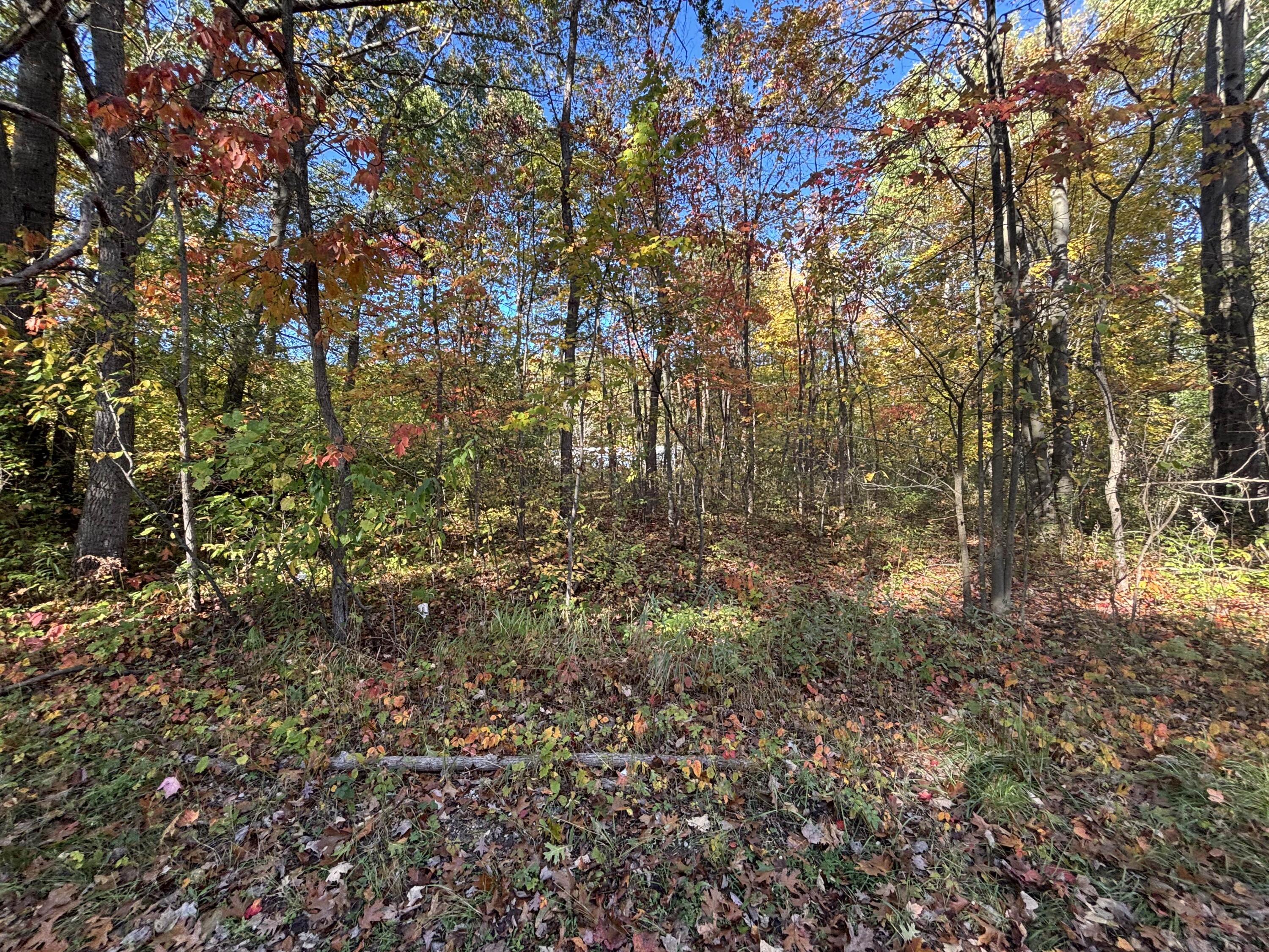 1.47 North Tallman Lake Road Fountain, MI 49410 - Photo 6 of 11 tallman-lake-lot-mason-county-6