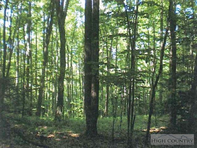 Harvey Lane Boone, NC 28607 - Photo 1 of 1 Gallery Image 1