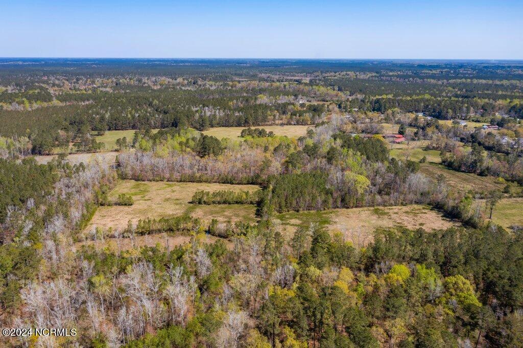 884 Cheshire Road Rocky Point, NC 28457 - Photo 6 of 29 DJI_0127.jpg-SMALL