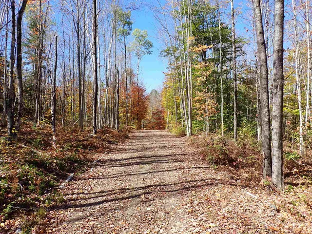 $659,000 | 501 Fellows Road, Guildhall, VT 05905