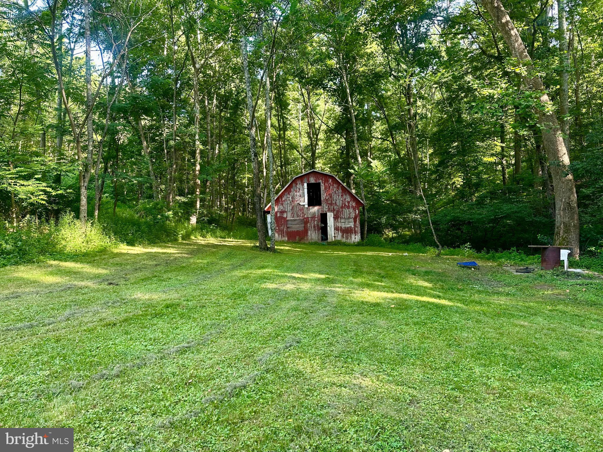 461 Norman Road High View, WV 26808 - Photo 6 of 73 Rear yard view of Barn