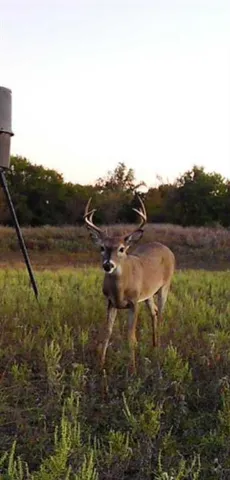 a view of a lake with mountain in the back