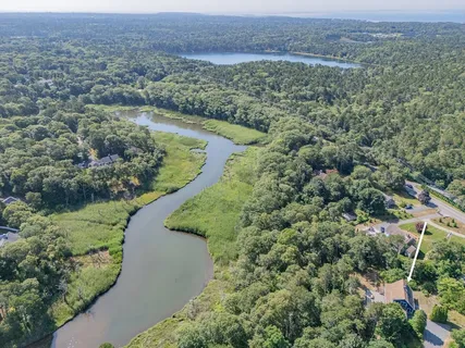 an aerial view of forest