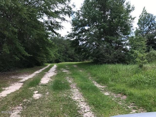 22429 Old River Road Vancleave, MS 39565 - Photo 5 of 7 old river IMG_1073