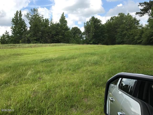 22429 Old River Road Vancleave, MS 39565 - Photo 7 of 7 old river pasture