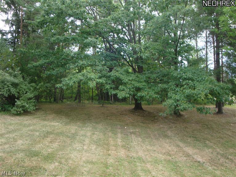 37225 Bainbridge Road Solon, OH 44139 - Photo 20 of 20 LOOKING TOWARD REAR BACK YARD FROM HOUSE..NICE WOODS