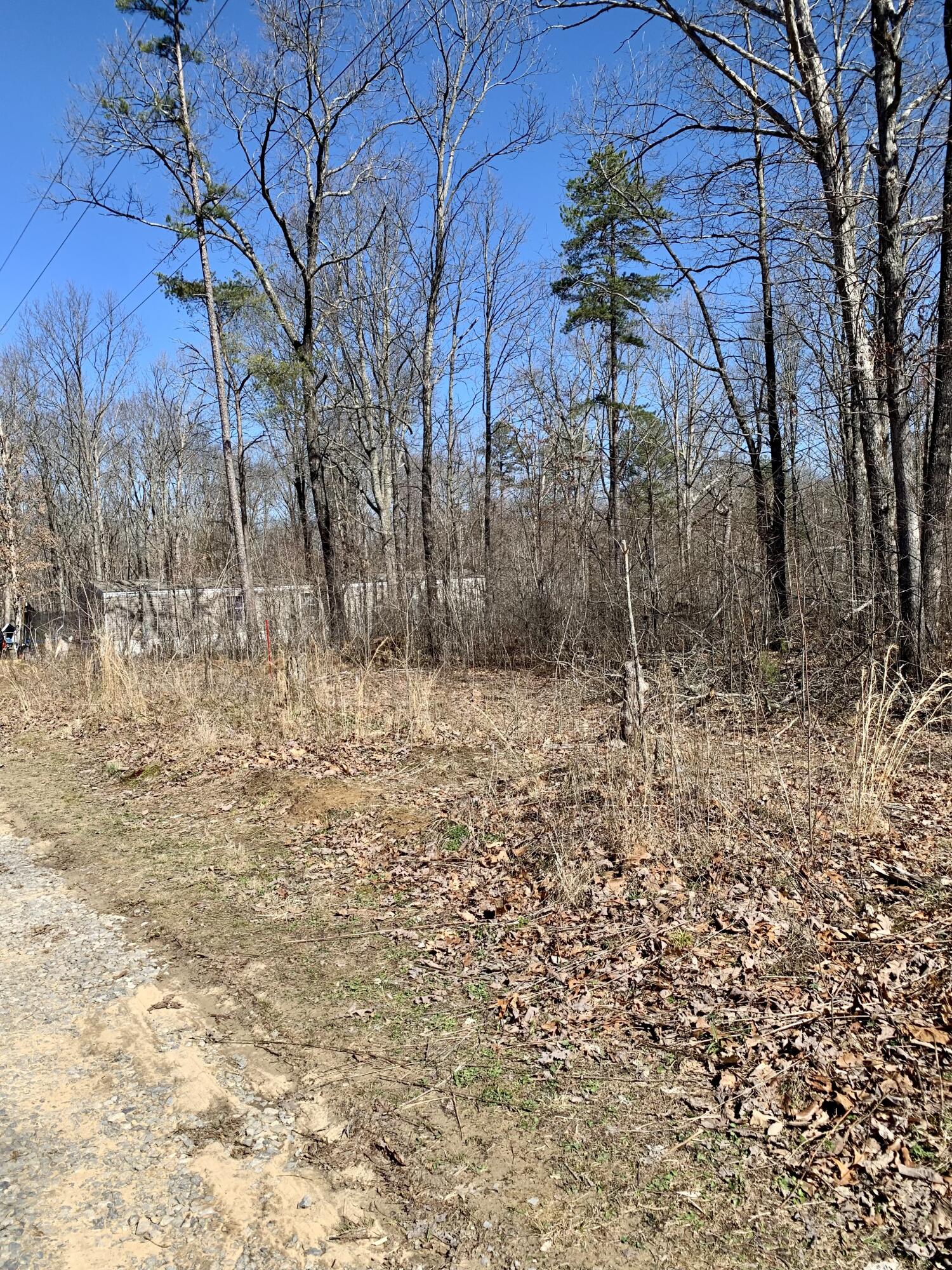 490 Powerline Road Dunlap, TN 37327 - Photo 3 of 3 p3