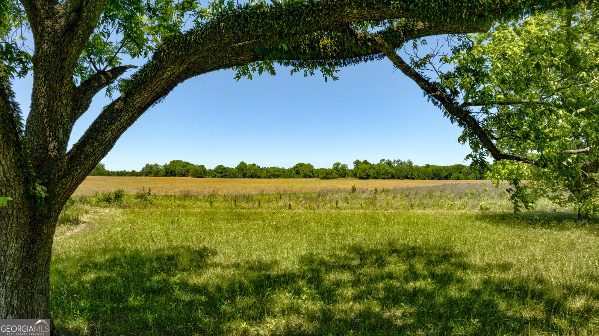 246 Melton Mill Road Dawson, GA 39842 - Photo 55 of 78