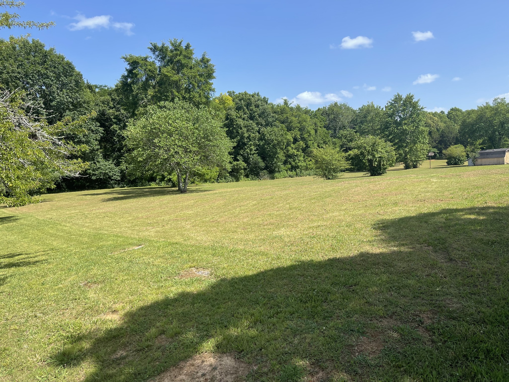 490 Cedar Grove Road Chapel Hill, TN 37034 - Photo 19 of 26