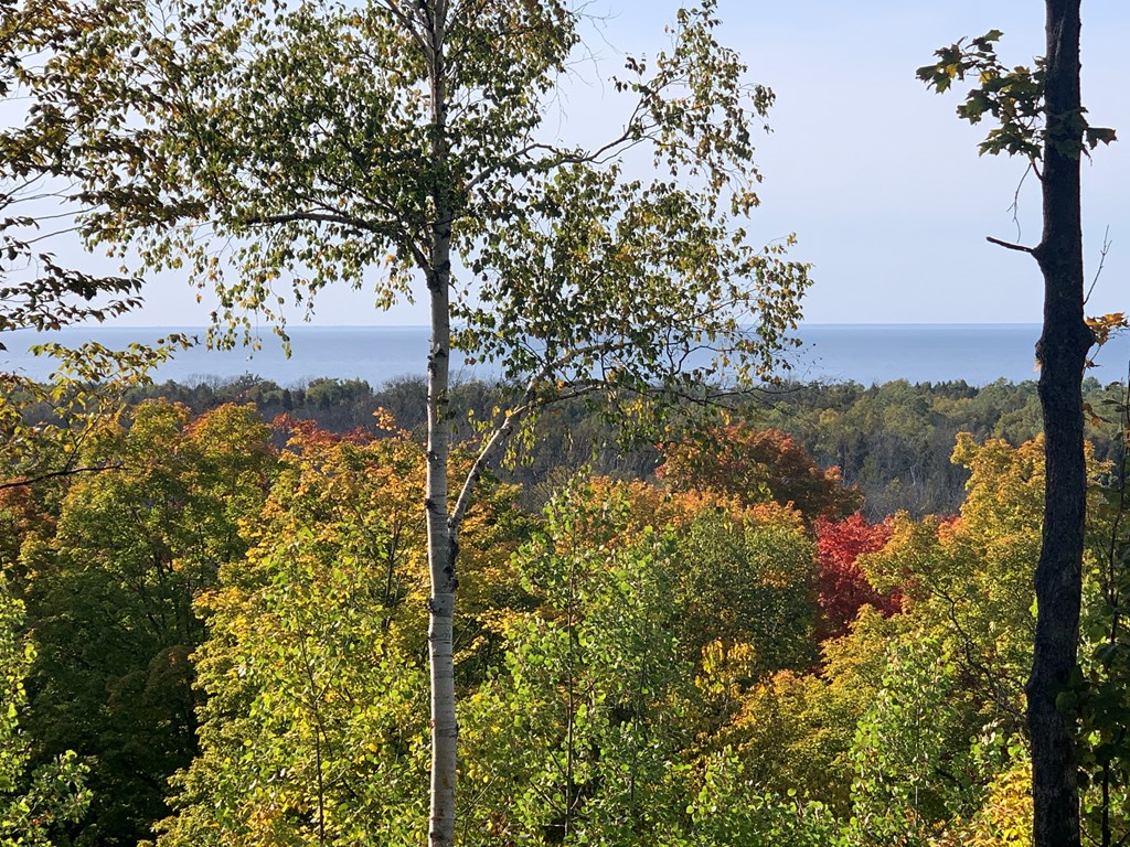 Lot 21 Daisy Patch Road Fish Creek, WI 54212 - Photo 4 of 6