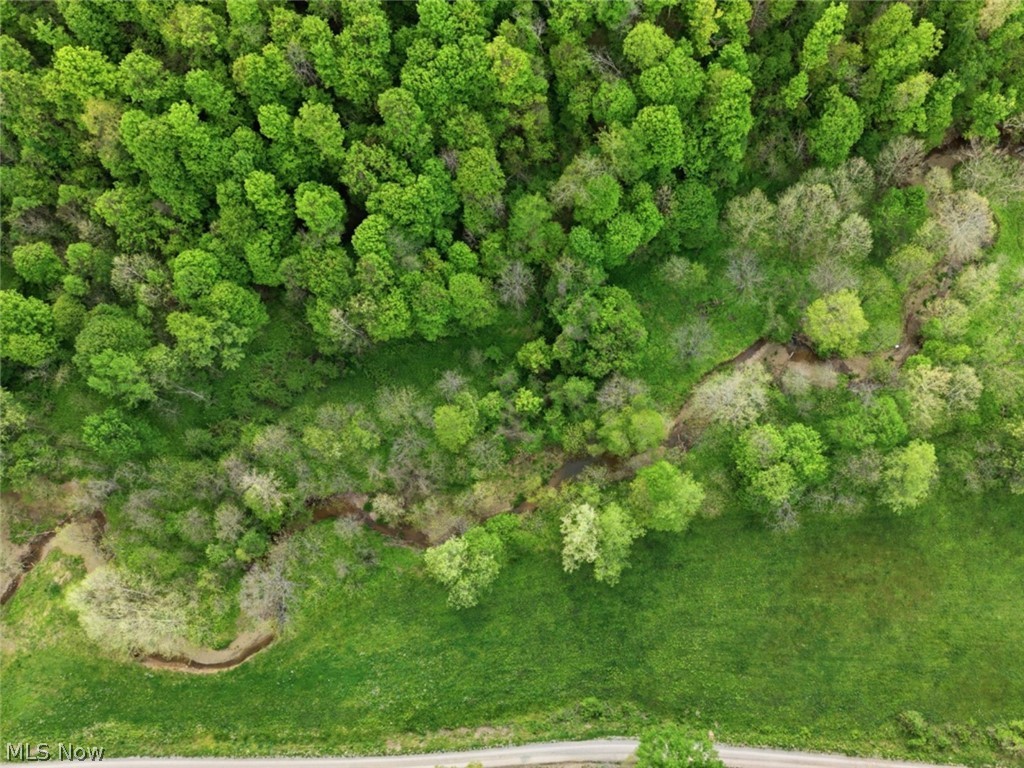 0 Pratts Run Road Woodsfield, OH 43793 - Photo 12 of 24