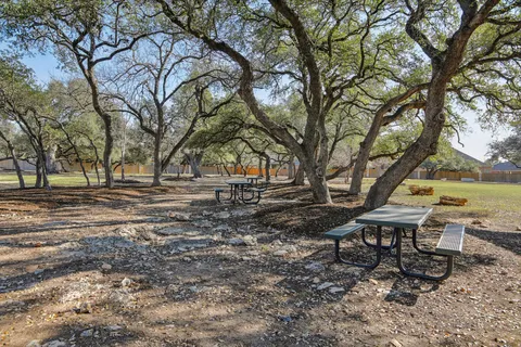 a view of a park with large trees