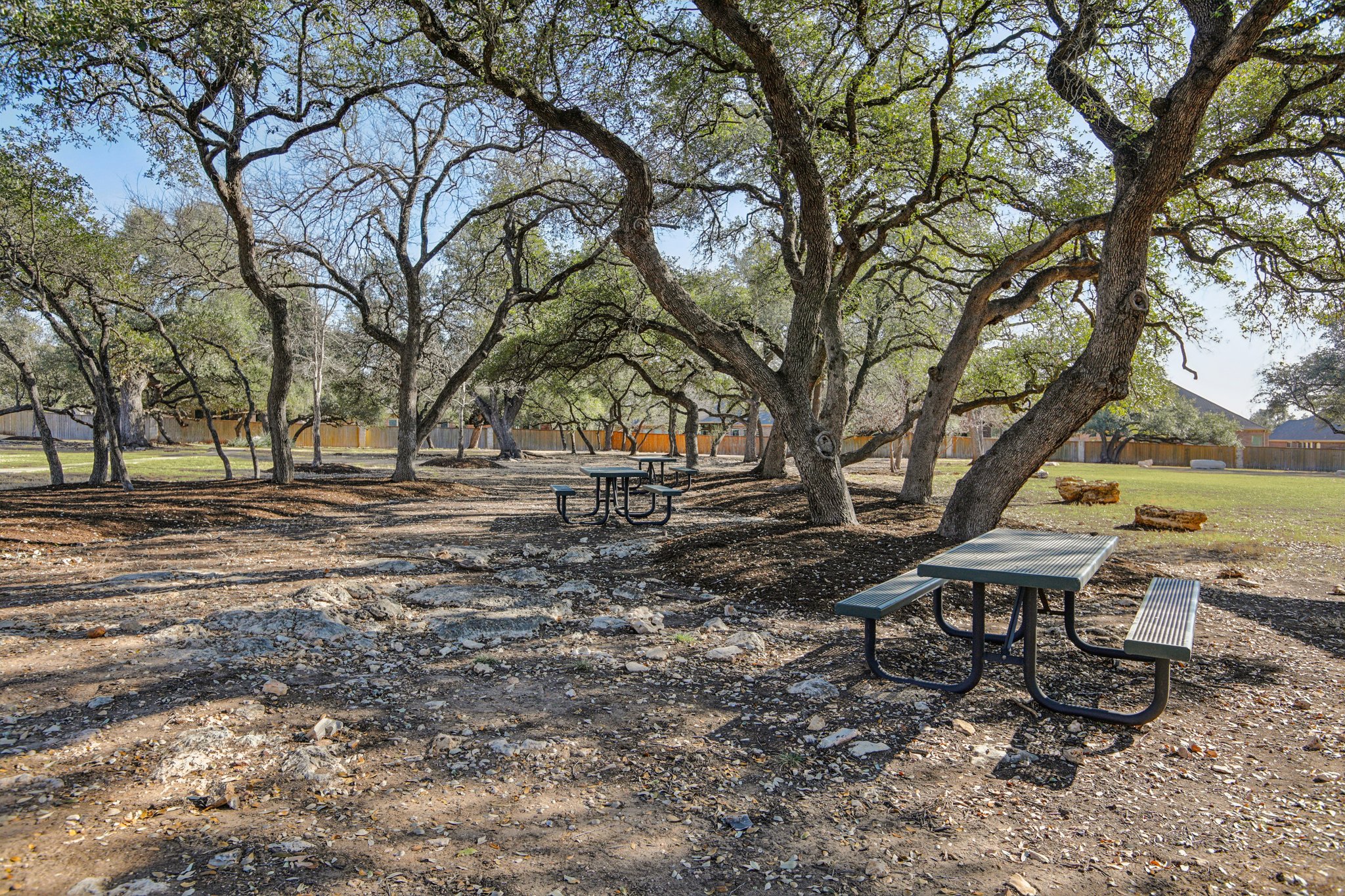 133 Lake Spring Circle Georgetown, TX 78633 - Photo 30 of 31 a view of a park with large trees