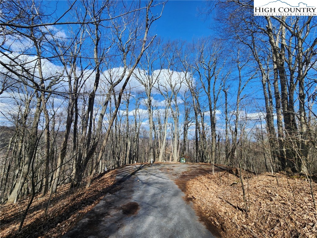 Spur Cove Lane Boone, NC 28607 - Photo 11 of 47