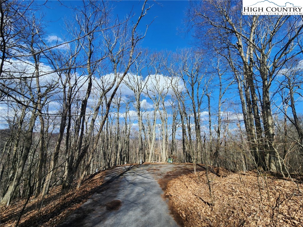 Spur Cove Lane Boone, NC 28607 - Photo 12 of 47