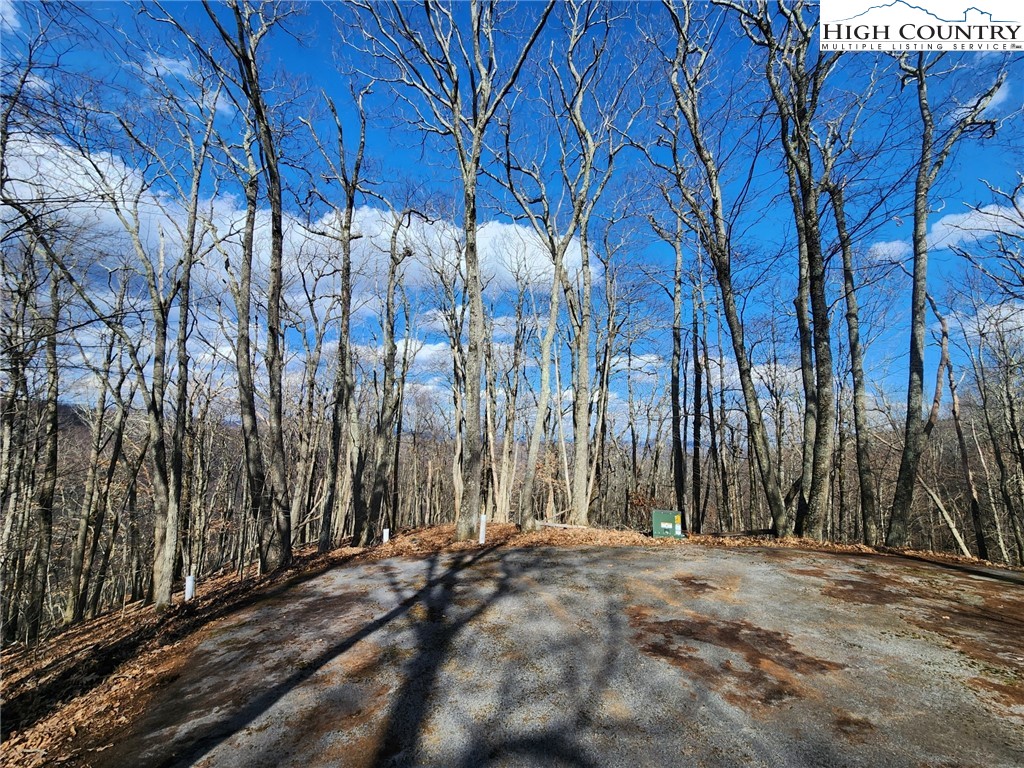 Spur Cove Lane Boone, NC 28607 - Photo 13 of 47