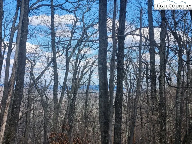 $124,900 | Spur Cove Lane, Boone, NC 28607