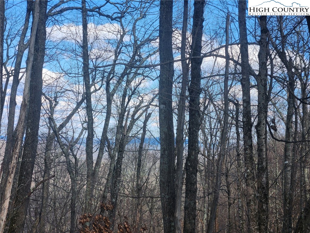 Spur Cove Lane Boone, NC 28607 - Photo 14 of 47