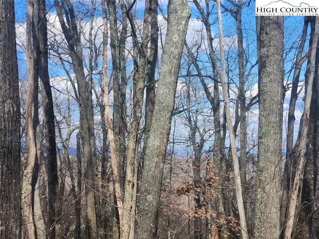 Spur Cove Lane Boone, NC 28607 - Photo 15 of 47