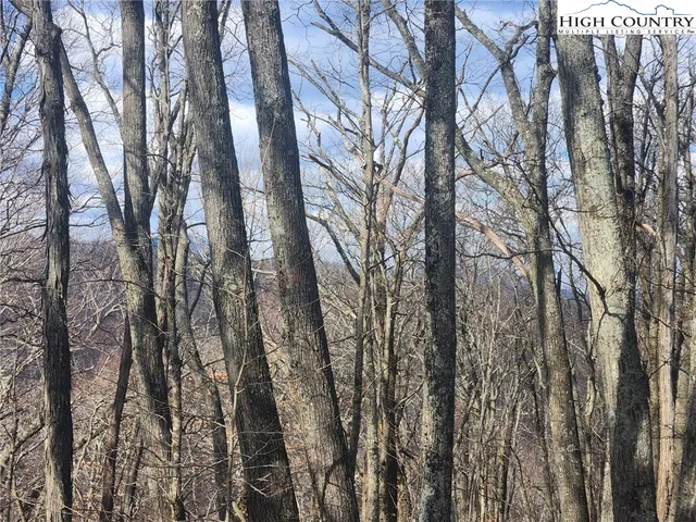 $124,900 | Spur Cove Lane, Boone, NC 28607