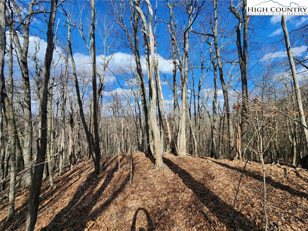 Spur Cove Lane Boone, NC 28607 - Photo 19 of 47