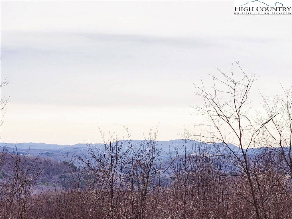 Spur Cove Lane Boone, NC 28607 - Photo 2 of 47
