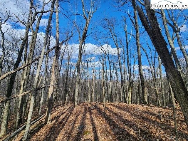 $124,900 | Spur Cove Lane, Boone, NC 28607