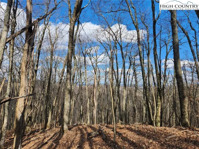 $124,900 | Spur Cove Lane, Boone, NC 28607