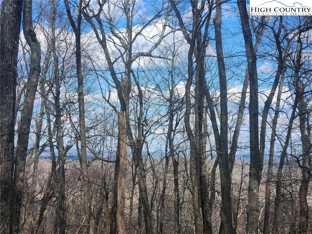 Spur Cove Lane Boone, NC 28607 - Photo 23 of 47