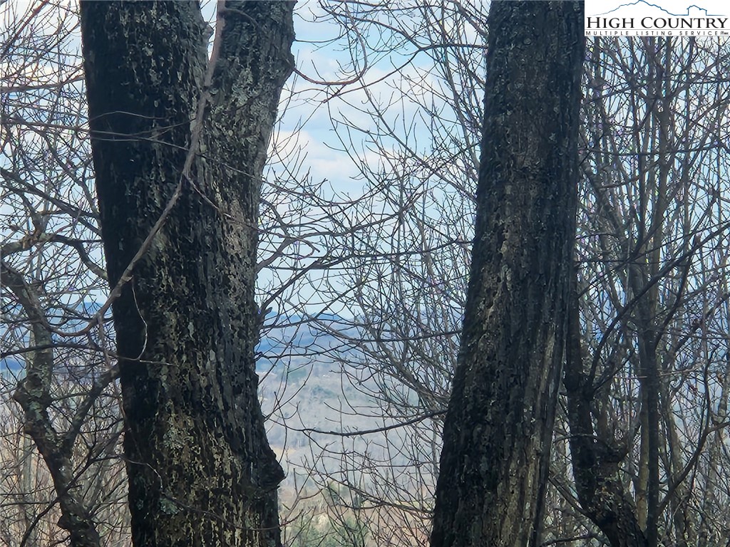 Spur Cove Lane Boone, NC 28607 - Photo 24 of 47