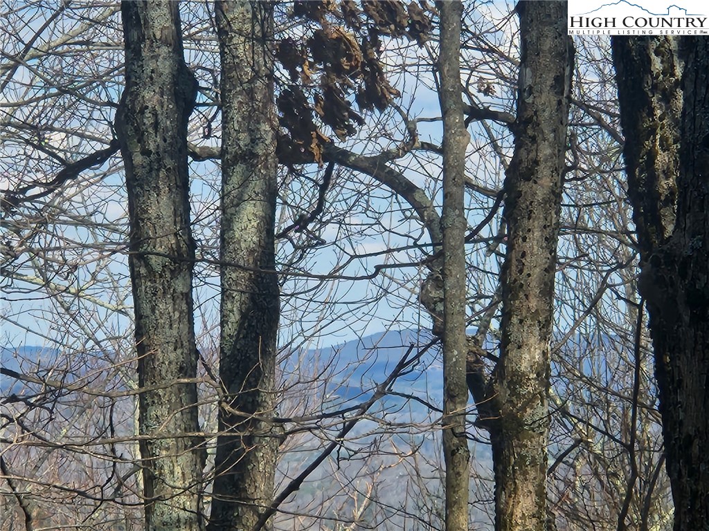 Spur Cove Lane Boone, NC 28607 - Photo 25 of 47