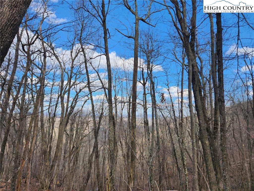 Spur Cove Lane Boone, NC 28607 - Photo 26 of 47