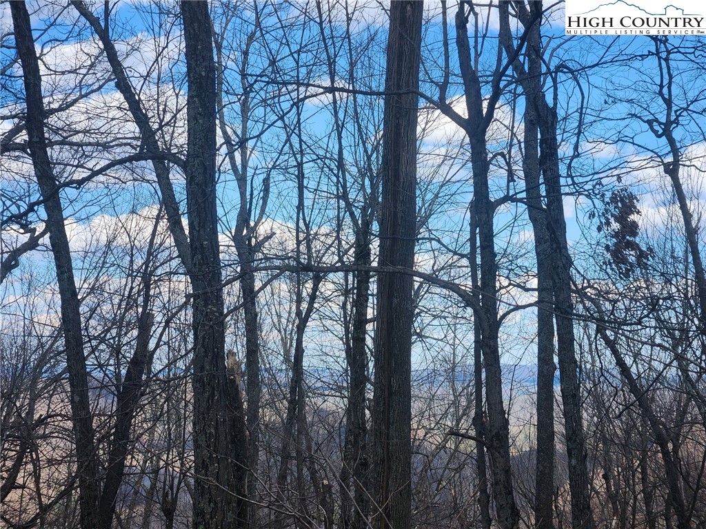 Spur Cove Lane Boone, NC 28607 - Photo 27 of 47