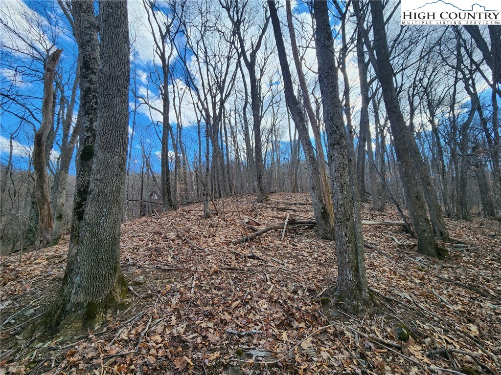 Spur Cove Lane Boone, NC 28607 - Photo 29 of 47