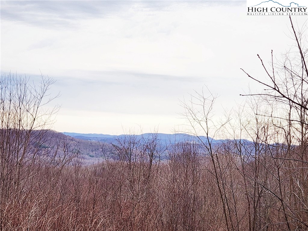 Spur Cove Lane Boone, NC 28607 - Photo 3 of 47