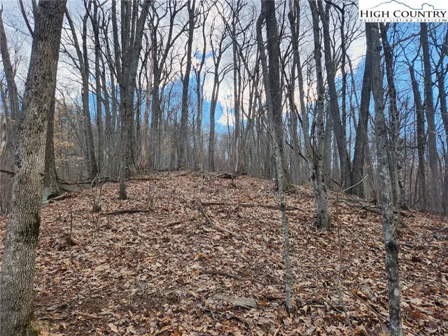 $124,900 | Spur Cove Lane, Boone, NC 28607