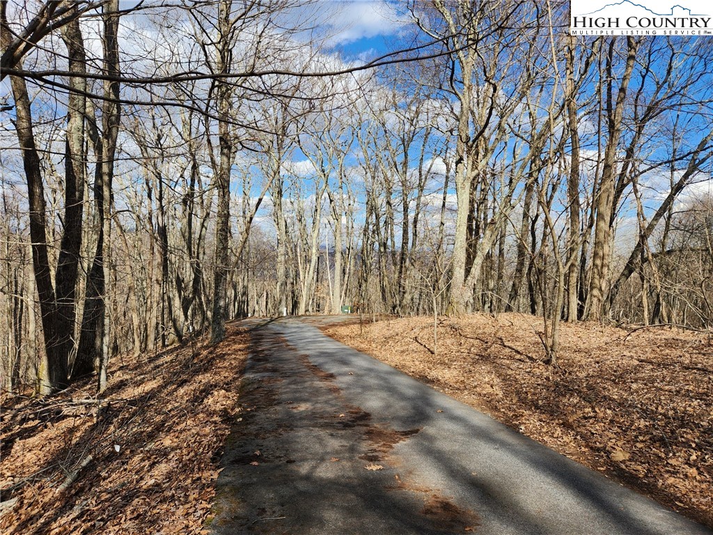 Spur Cove Lane Boone, NC 28607 - Photo 32 of 47