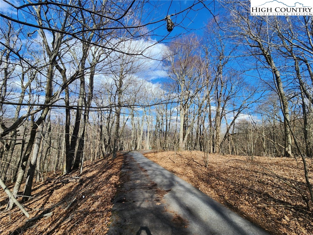 Spur Cove Lane Boone, NC 28607 - Photo 33 of 47